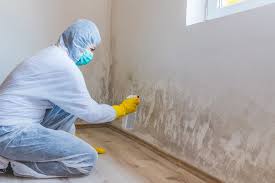 Best Emergency Mold Remediation  in Johnson City, NY